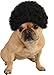 Rubie's Pet Costume Afro Curly Wig, Medium to Large, Black