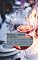 Livro Notas sobre vinhos: o guia essencial para iniciantes na arte da enologia