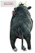 FDND Ferdinand - The Bull Plush Ferdinand Adult 11 