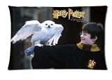 Movie Harry Potter Theme Pillow Case Cover Pet Pillowcase Size 20*30