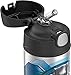 THERMOS FUNTAINER F4101 Stainless Steel Kids Bottle, 12 Ounce, Black Panther