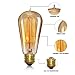 Vintage Light Bulb, Elfeland Antique Incandescent Edison Bulb 60w Squirrel Cage Filament Retro Light Bulb ST58 Dimmable E26/E27 Medium Base (2 Pack)