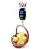 Eve-Split-110lb50kg-Fish-Weighing-Scales-Portable-Backlit-LCD-Display-Electronic-Balance-Digital-Hanging-Luggage-Fishing-Hook-Scale
