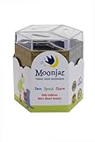 Moonjar: International Moneybox