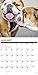 Just Bulldogs 2020 Wall Calendar (Dog Breed Calendar)