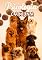Livro Psicologia Canina: Comunicação, Cognição e Conexão (Psicologia e Atualidades)