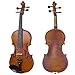 Cecilio CVA-500 15-Inch Viola Instrument Full Size Professional with D'Addario Prelude Strings and Ebony Fittings in Satin Antique Finish