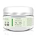 Scar Removal Cream - Advanced Treatment for Face & Body, Old & New Scars from Cuts, Stretch Marks, C-Sections & Surgeries - With Natural Herbal Extracts Formula - (30 ml) 