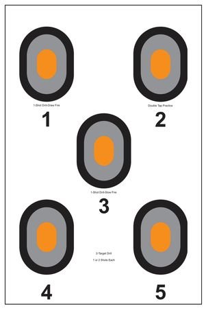 ACTION TARGETS 530-OC 5 Bulls ORG CNTR 100 Pack