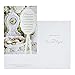 DaySpring All Occasion - Inspirational Boxed Cards - King James Version - 18545,Multi