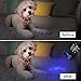 Morpilot Blacklight Flashlights, 2 in 1 LED UV Blacklight with 500LM Highlight, 4 Modes, 395nm Black Light Flashlight for Pet Urine/Scorpion Detection/Night Fishing/Travel/Camping, 2pcs