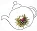 Blooming Flowering Tea (7 Blooms) Gift Bag