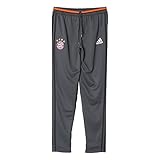 adidas FC Bayern München Soccer Training Pants