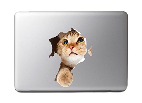 Cute fluffy animals #6 - cat in paper side torn hole - …