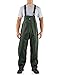 Carhartt Men's Surrey Bib Overall, Green, Large