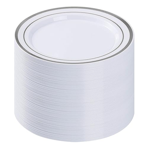 BESTVIP 100Pcs Silver Plastic Plates, 10.25 Inch Disposable Party Plates | Heavy Duty Dinner Dish with Rim for Christmas, Thanksgiving, Wedding, Birthday & Special Events