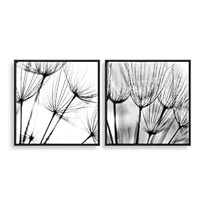 2 Piece Framed Canvas Home Artwork Decoration Transparent Flower Canvas Wall Art for Living Room, Bedroom - 16"x16"x2 Panels