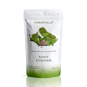 Farmvilla Mint Leaves Powder 200g