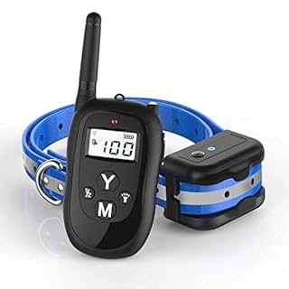 The Honest Kitchen Beams Fish Skin Chew Dog Treat 7oz Pack Of 2