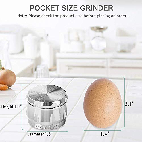 iRainy G2 Pocket Size Spice Herb Grinder - Small Tiny 1.6 Inch 4 Pieces with Pollen Catcher (Silver)