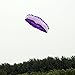 Besra Huge 102inch Dual Line Parachute Stunt Kite with Flying Tools 2.6m Power Parafoil Kites Outdoor Fun Sports for Beach & Park (102inch Purple)