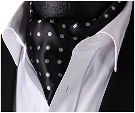 HISDERN Men's Polka Dot Ascot Tie Jacquard Woven Silk Cravat