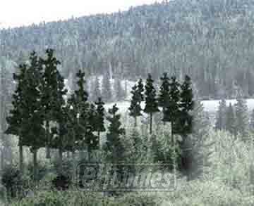 Ready Made Tree Value Pack Conifer
