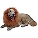 DIBBATU Lion Mane Costume Lion Mane Wig for Large/Medium Dogs Halloween Fancy Hair, Brown