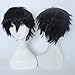 Black Cosplay Synthetic Wig with Bangs Short 20 Styles Anime Layered Fluffy Hair Oblique Fringe Full Head Unisex for Man and Women Girls Lady Fashion (Black)
