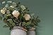 Nerseki Artificial Silver Dollar Eucalyptus Leaf Spray in Green Leaves Indoor Outside Home Garden Office Wedding Décor(3 Stems)