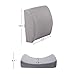 LOVEHOME Lumbar Pillow for Chair and Car, Back Support for Office, Memory Foam Cushion with Mesh Cover - Gray