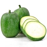 Chinese Winter Melon Gourd 20 Seeds NON-GMO Heirloom Vegetable