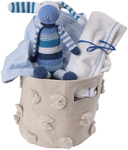 amazon baby boy gift basket