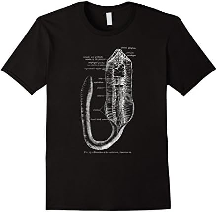 Mens Vintage Entomology Earthworm Anatomy Tee T-shirt Large Black