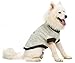 BINGPET Turtle Neck Dog Sweater - Brown Bone Pattern - Puppy Winter Warm Cloth for Small Medium Large Dogs