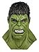 Rubie's adult Marvel Hulk Overhead Latex Mask Party Supplies, Multi, One Size US