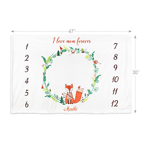 Boritar Baby Milestone Receiving Blanket Newborn Monthly Photography Background Super Soft with Double Layer Minky Dotted, Lovely Fox Printed 30"x47"(75x120cm)