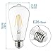 Otronics LED Antique Vintage Edison Bulb, ST64 LED Filament Bulb, 4W (40W Equivalent) 470 Lumen Not-dimmable E26 Base,Daylight 5000K, pack of 6