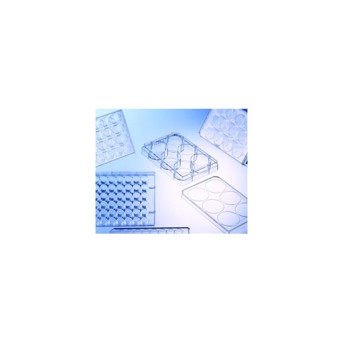 Buy Greiner BioOne 657185 Polystyrene CELLSTAR Cell Culture Multiwell