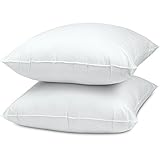 Splendid Collection Euro Square Pillows, 2-Pack 26-by-26 Inch