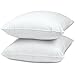 Splendid Collection Euro Square Pillows, 2-Pack 26-by-26 Inch