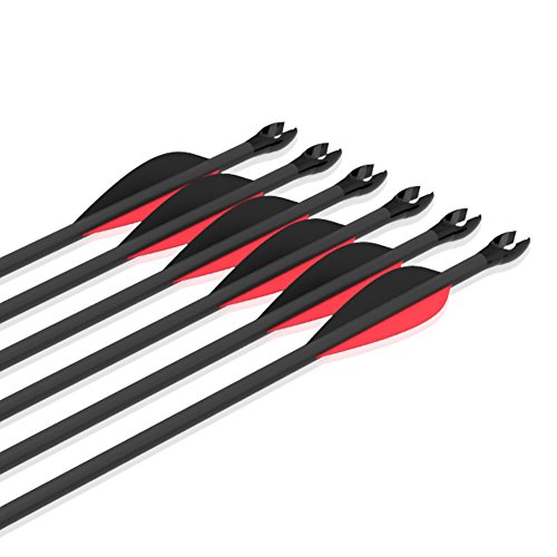 Musen Carbon Arrows 30-Inch Fletching 2.5'' Target Practice Archery Arrows for Recurve or Compound Bow(12 Pack) (Red) - Thumbnail 3