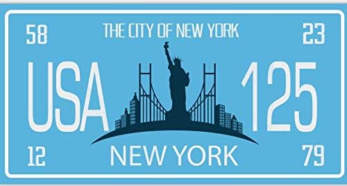 Set of 10 metal USA car LICENSE PLATES - replicas of real American plates (lot V1), Multi color - Image 3