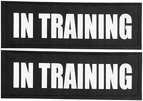FAYOGOO Reflective in Training/Service Dog in Training/Therapy Dog/Do Not Pet/Emotional Support Dog Patches with Hook Backing for Service Dog Vests Harnesses