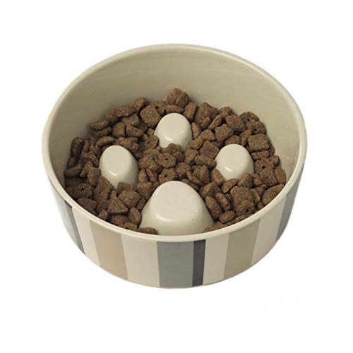 PetRageous 12017 Metro Slowfeed - Cuenco de Comida para Perros Apto para lavavajillas con Capacidad de 4 Tazas, 7 Pulgadas de diámetro y 2.25 Pulgadas de Alto para Perros y Gatos medianos y Grandes,