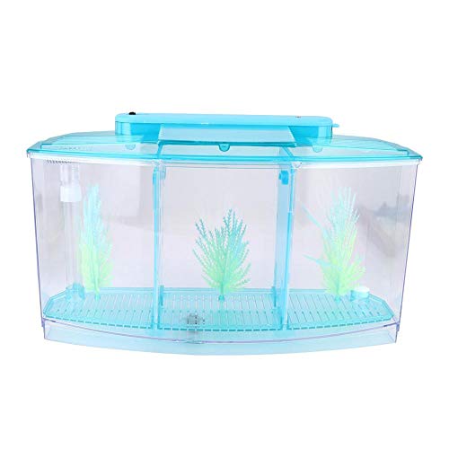 Pssopp Mini Fish Tank Three Divisions Small Fishes Breeding Isolation Box Acrylic Fish Shrimp Hatchery with LED Light and Luminous Water Grass(Blue)