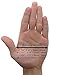 Cycle Gloves – Half Finger Light Pad Gloves For Riding Weightlifting Cycling And More – Women and Men Sporting Gloves