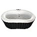 ALEKO Inflatable Hot Tub Spa | Personal High Powered Jetted Bubble | 145 Gallon | Black and White