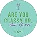 National Etching Funny Wine Glass with “Classy, Sassy, Smart-Assy” Gauge Saying, Classic Stemmed Wine Glass for Women and Men