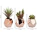 MyGift Small Artificial Plants Assorted Fake Succulents in Rose Gold Ceramic Planters Pot, Set of 3